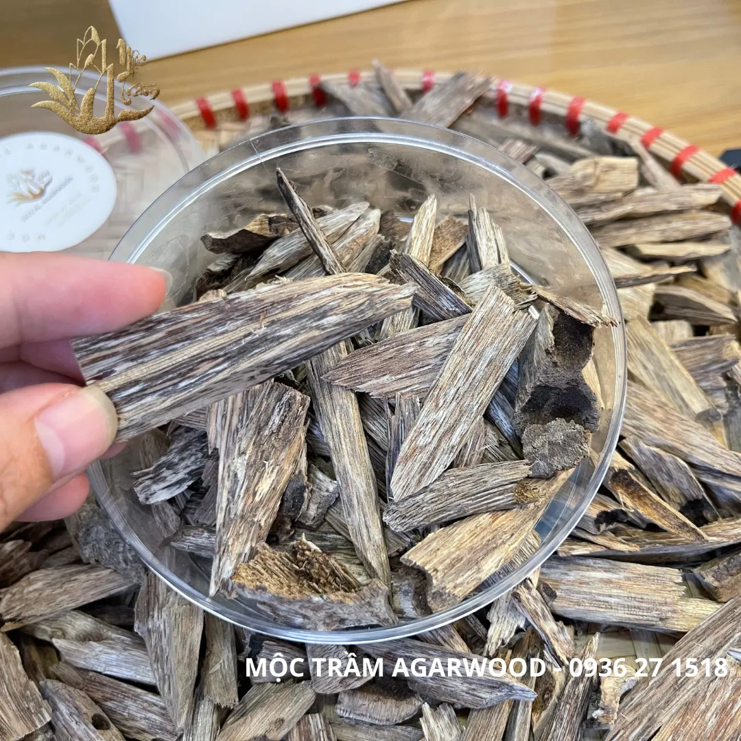 High-Oil Agarwood Chips – “Kien Toc” Vietnamese Wild Oud (Limited Collection | Multi-Weight Options)